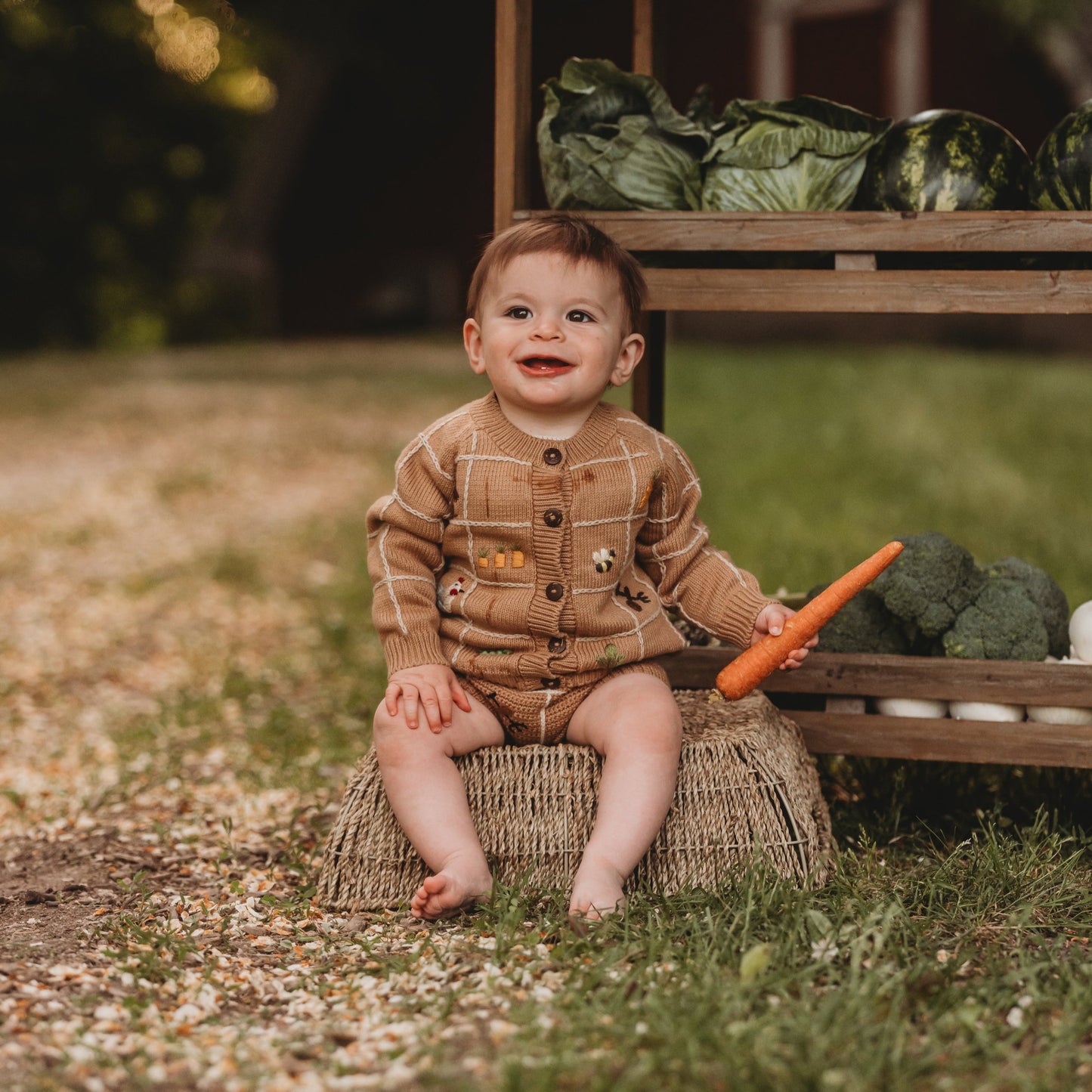 Little Farm cardigan - Malt