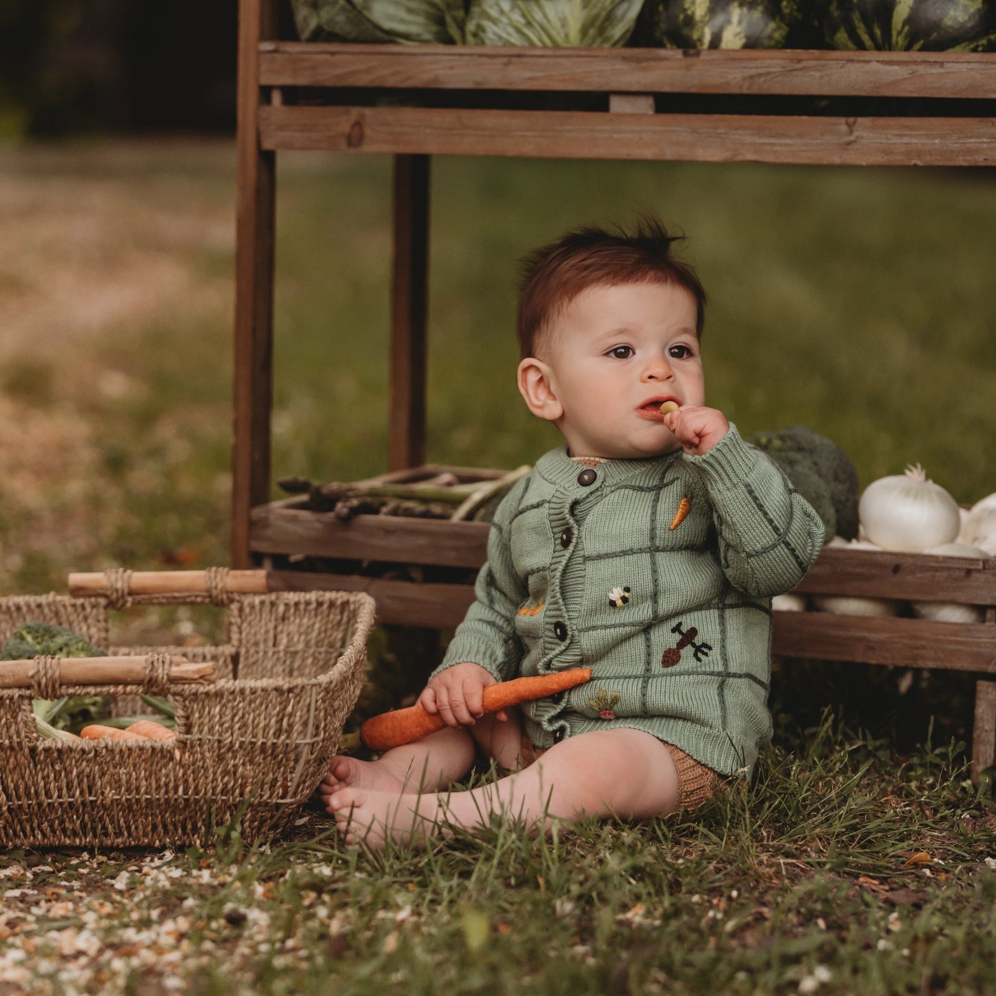 Little Farm cardigan - Sage