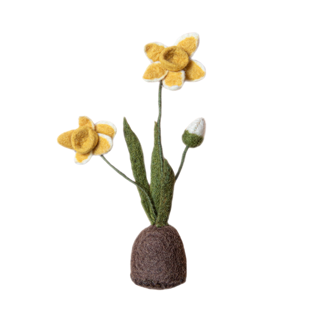 Standing Daffodil