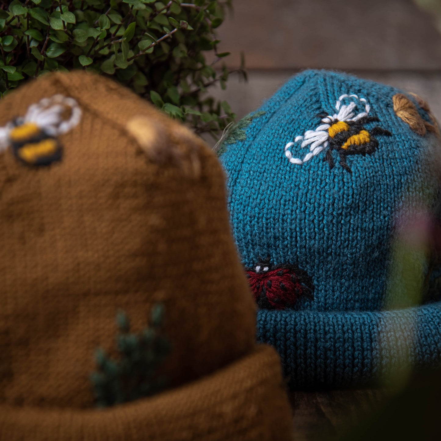 Bugs Life everyday hat - Petroleum
