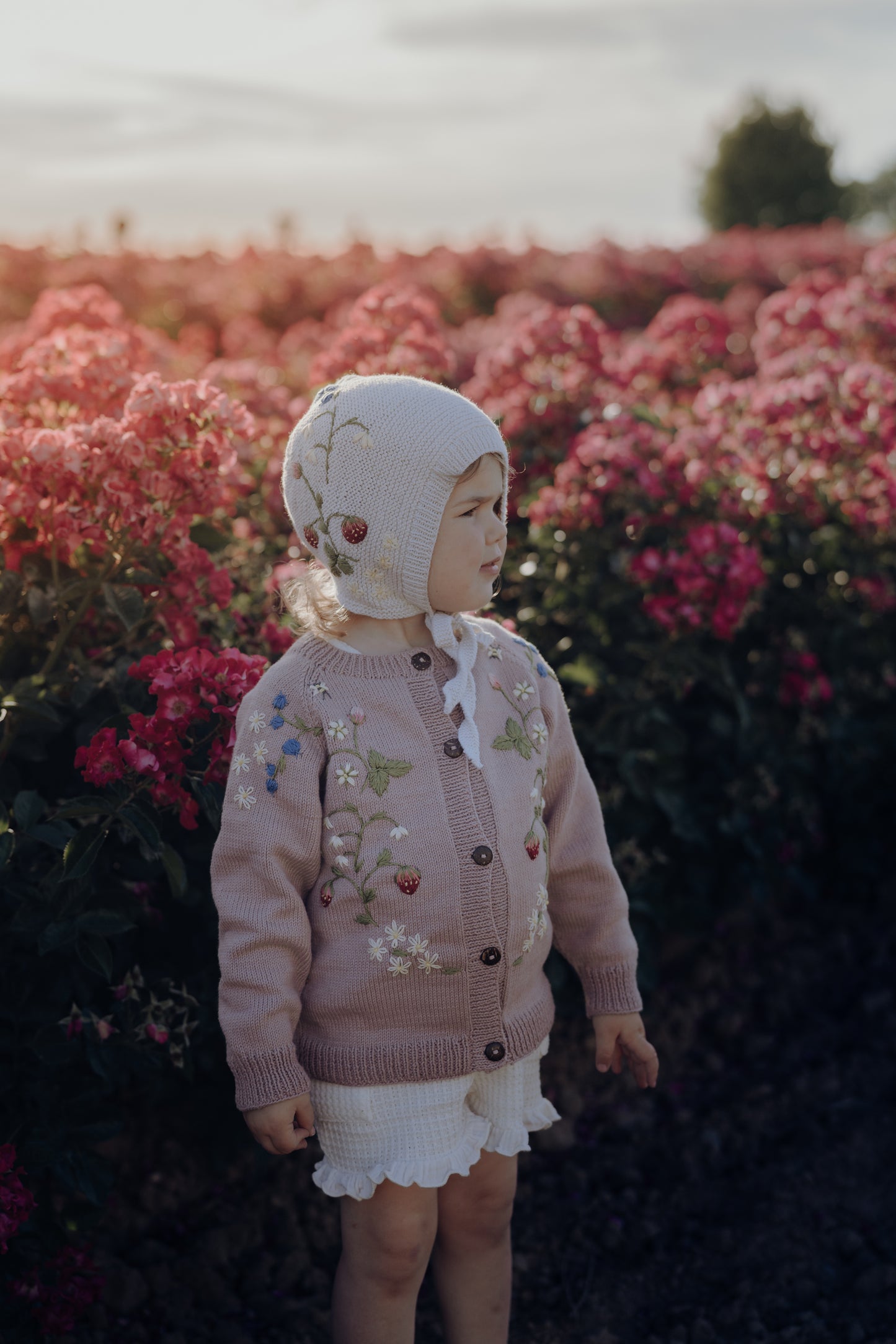 Strawberry cardigan Dahlia (Cotton)